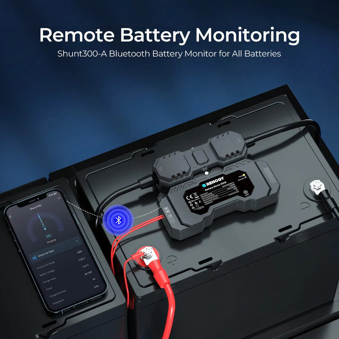 Renogy Battery Shunt 300