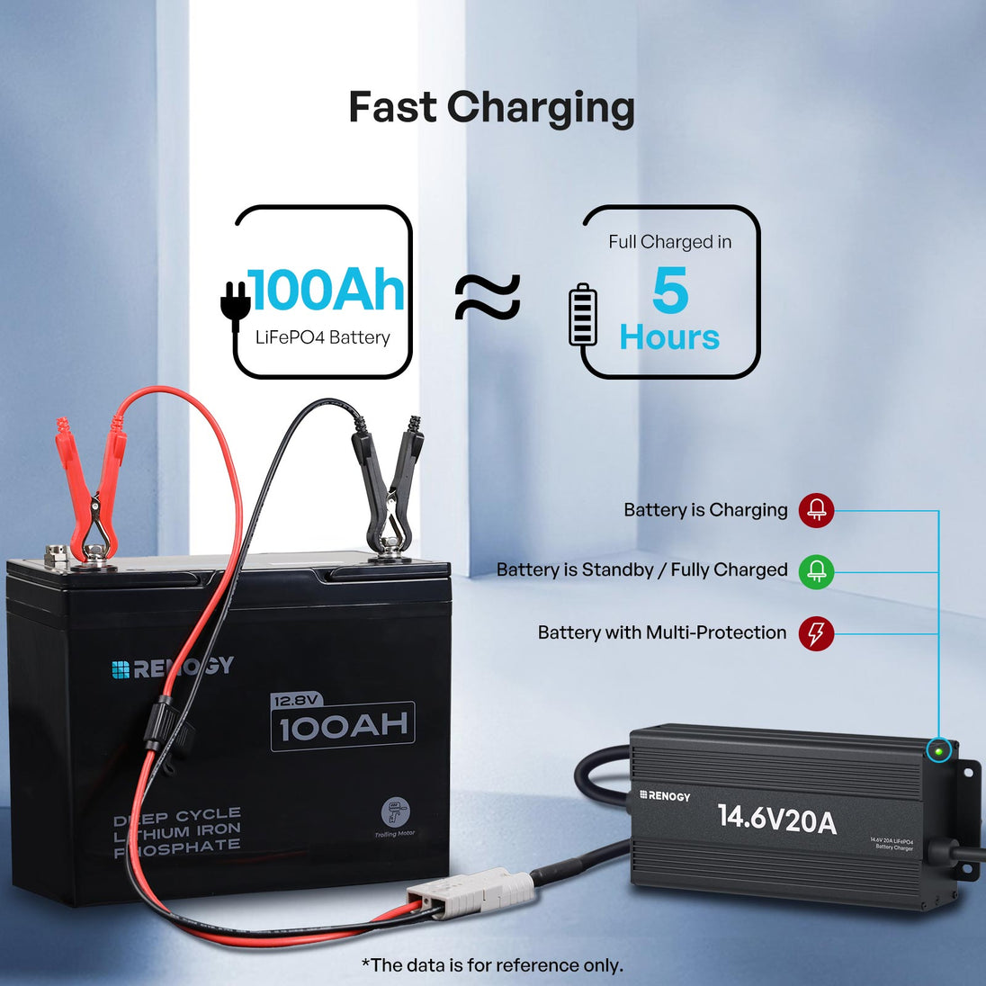 Renogy 12V 20A 24V 10A AC-to-DC LFP Portable Battery Charger