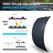 Renogy 100W Lightweight Flexible Solar Panel Black Division