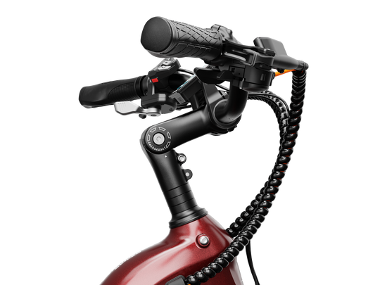 Heybike Hybrid Electric Bike
