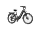 Heybike Hybrid Electric Bike