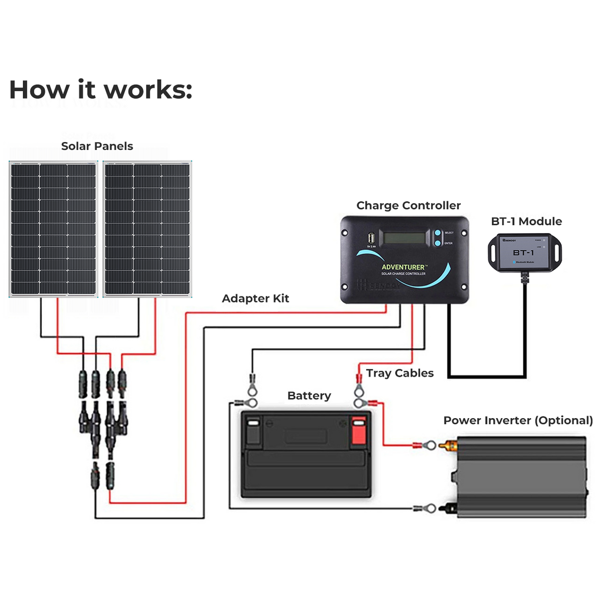 Renogy 200W 12V Essential Solar Panel Kit