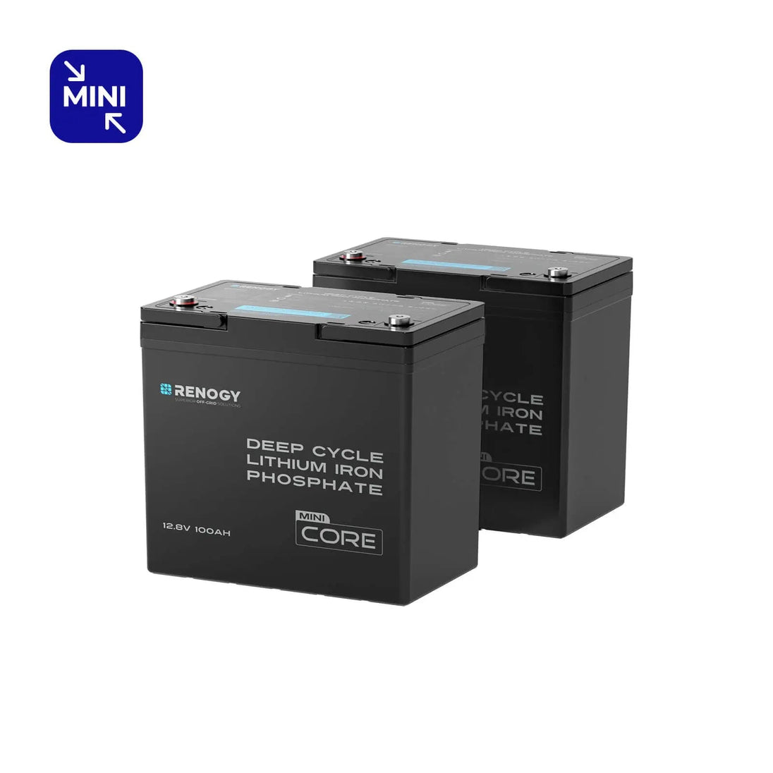 Renogy 12.8V 100Ah Lithium Iron Phosphate Battery