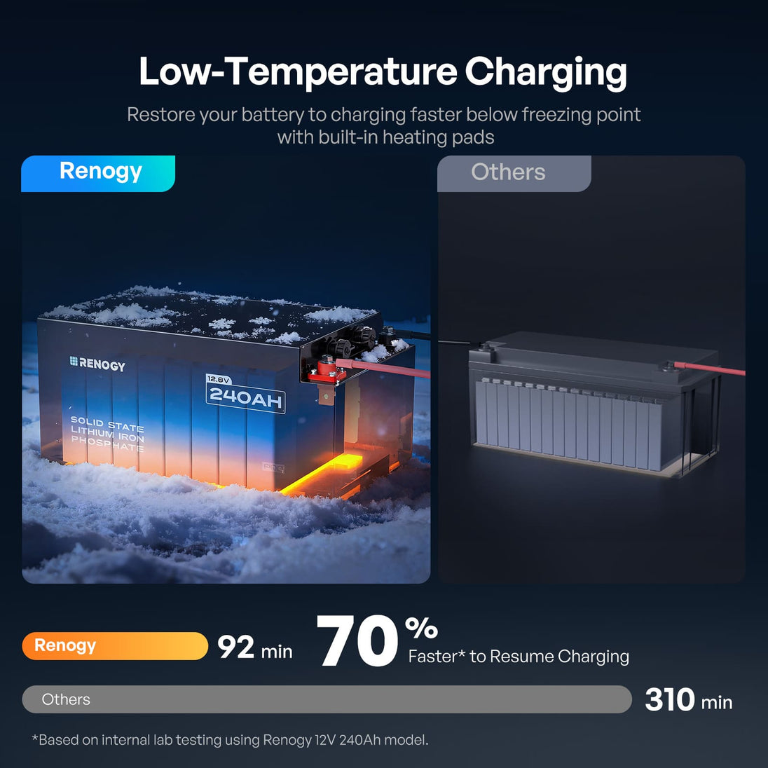Renogy Pro S1 12V LiFePO4 Battery