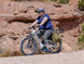 Heybike Alpha Mid-Drive Electric Bike