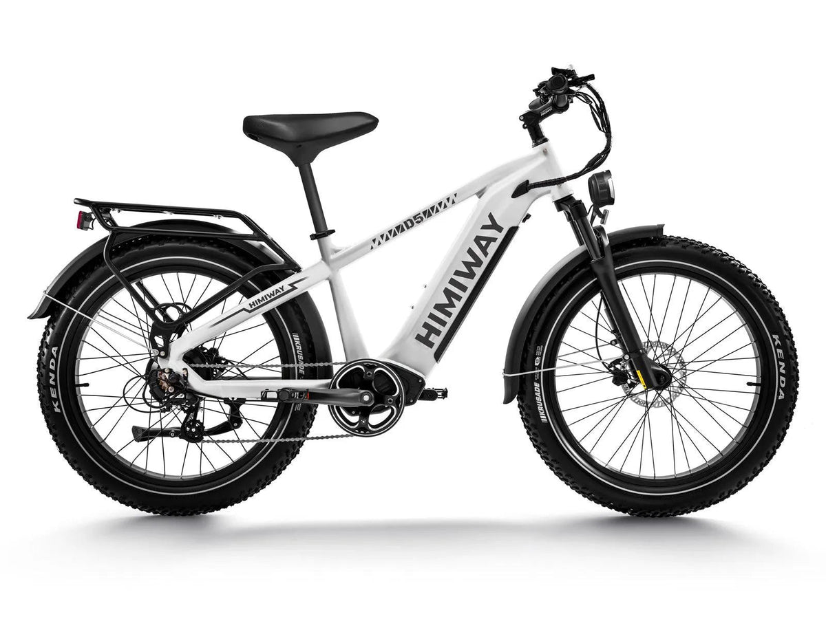Himiway D5 (Zebra) All-Terrain Electric Fat Bike