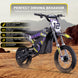 MotoTec 36v 1000w (HP112E) Electric Dirt Bike