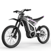 EKX M1 Mid-Drive Electric Bike