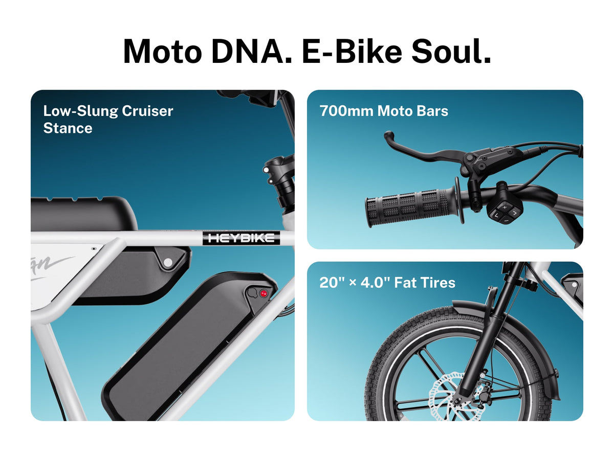 Heybike Titan Electric Bike