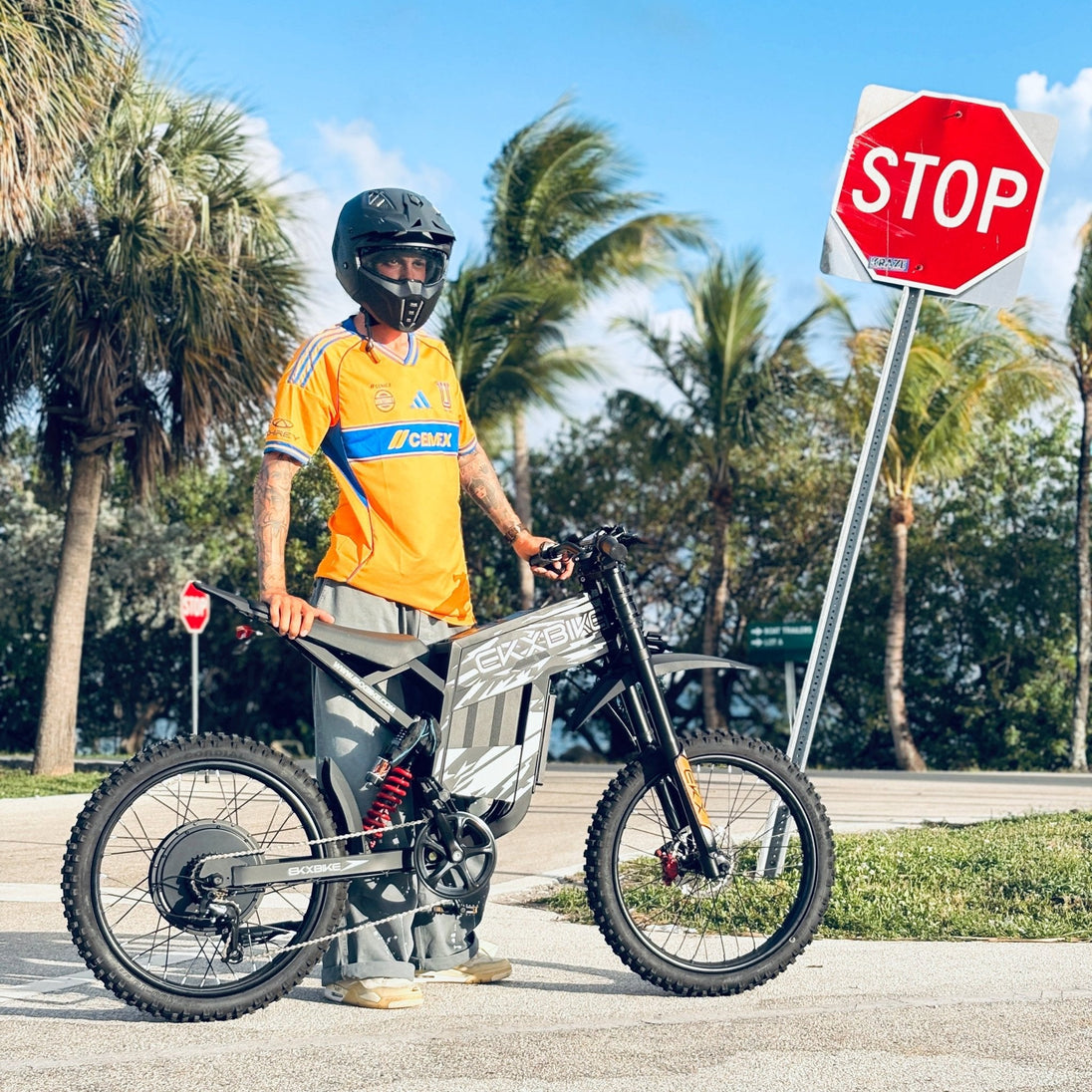 EKX TX1 Electric Dirt Bike