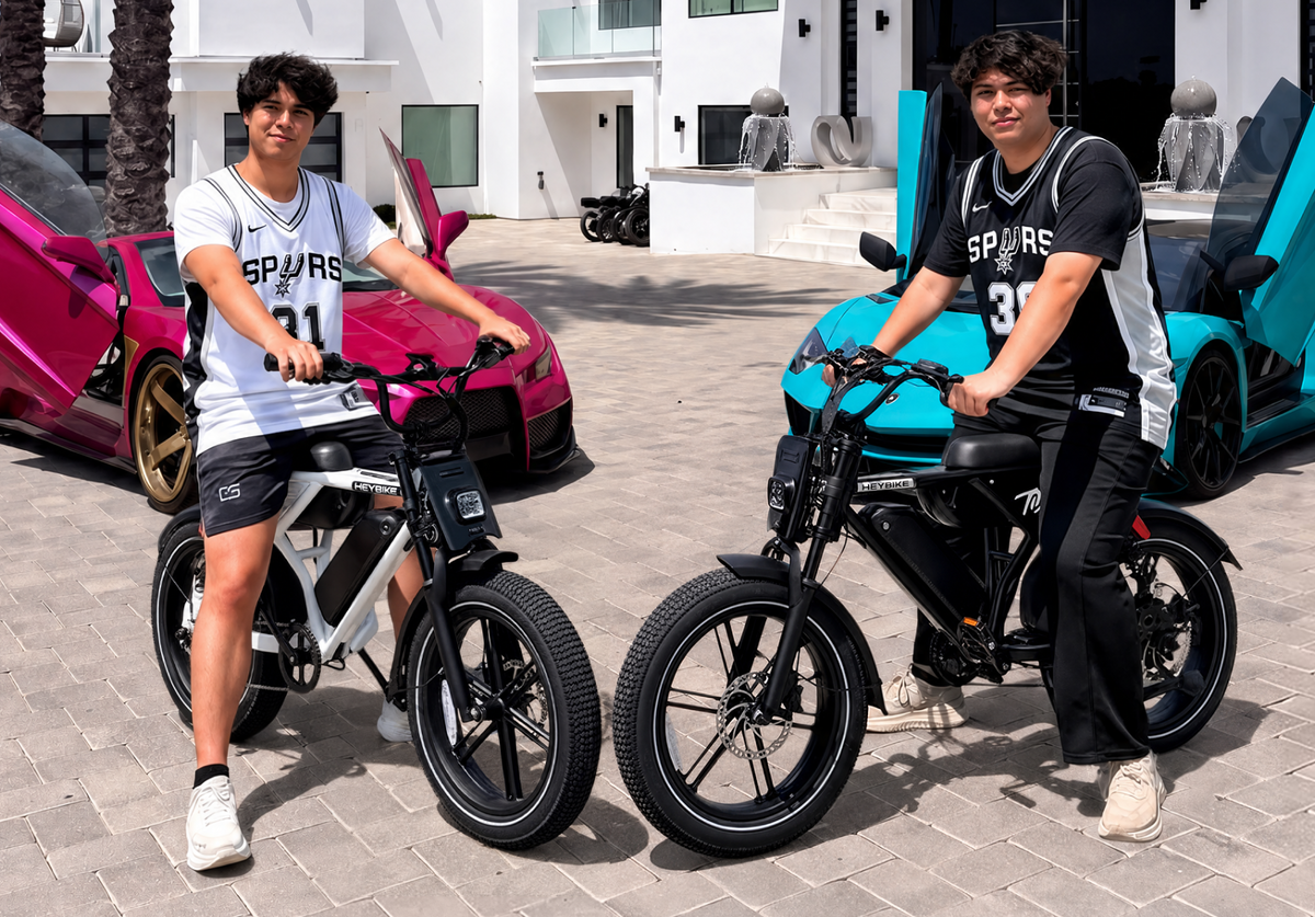 Heybike Titan Electric Bike