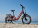 Heybike Ranger 3.0 Pro Electric Bike