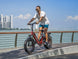 Heybike Ranger 3.0 Pro Electric Bike