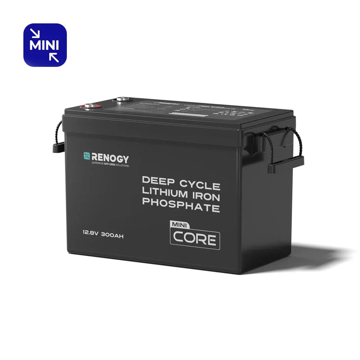 Renogy 12V 300Ah LiFePO4 Battery