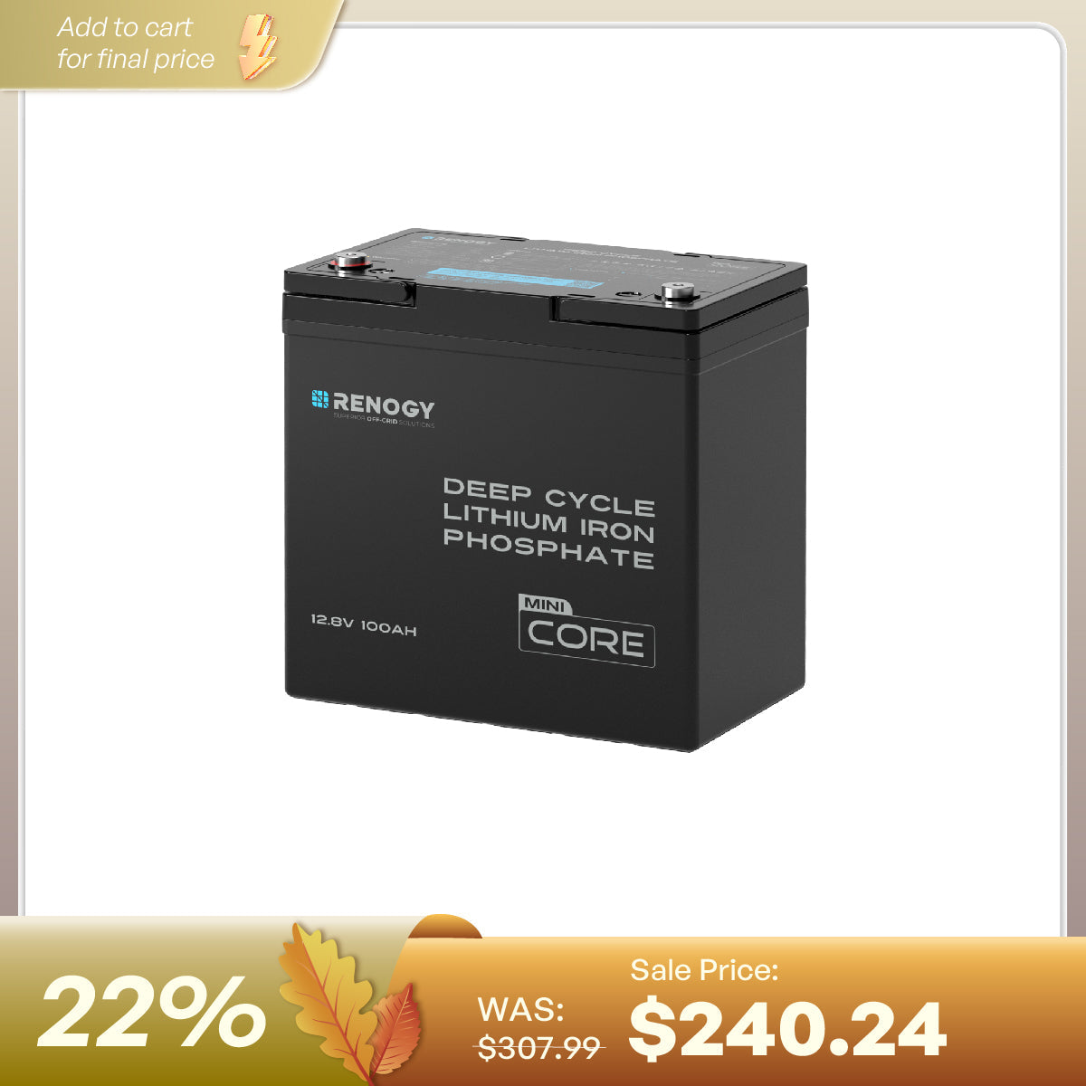 Renogy 12.8V 100Ah Lithium Iron Phosphate Battery