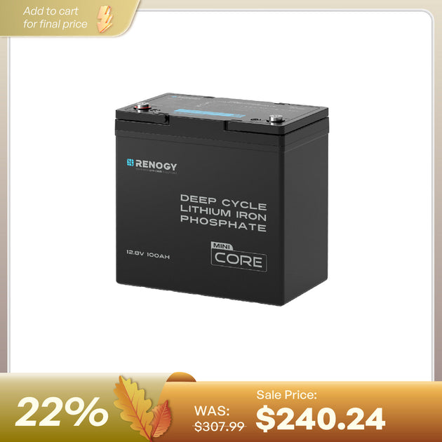 Renogy 12.8V 100Ah Lithium Iron Phosphate Battery