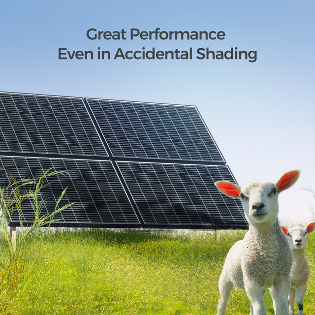 Solar panels with sheep in a field under clear blue sky