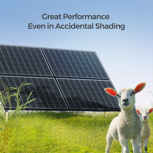 Solar panels with sheep in a field under clear blue sky