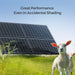 Solar panels with sheep in a field under clear blue sky