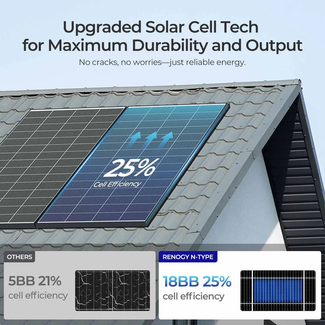 Renogy 320W N-Type Solar Panel 2-Pack