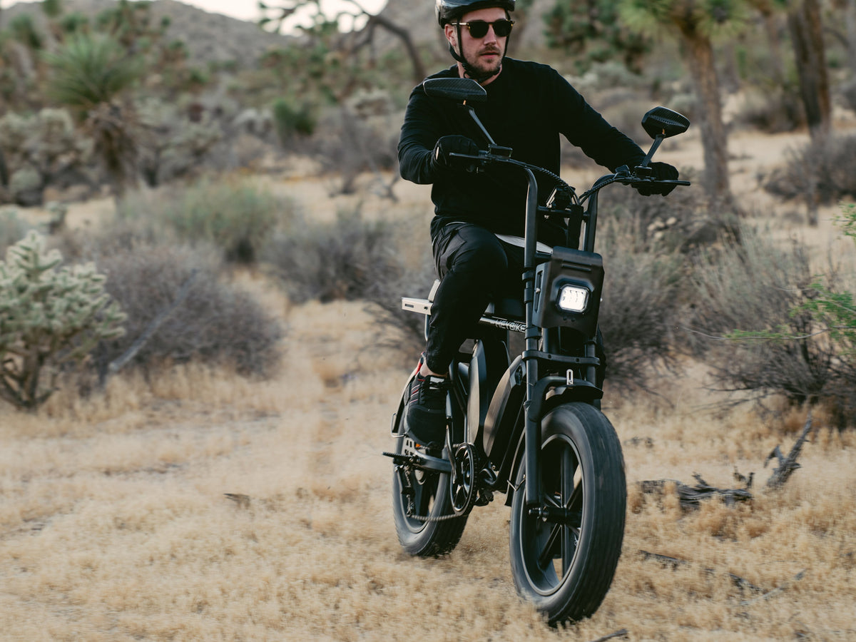 Heybike Saturn Electric Bike