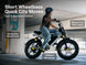 Heybike Titan Electric Bike