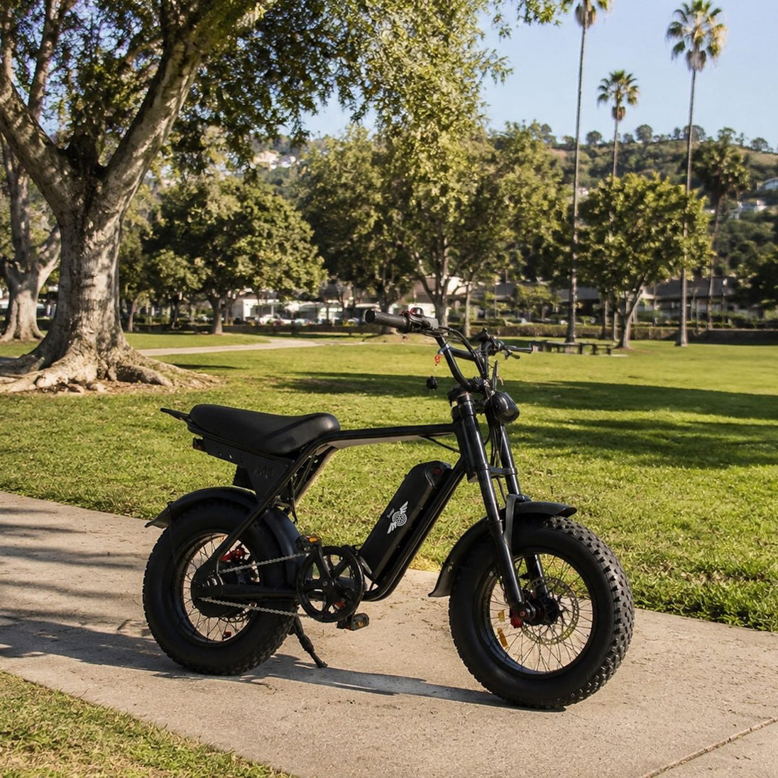 Freego Maxx M3 Class 2 Compact Fat Tire Electric Bike