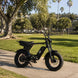 Freego Maxx M3 Class 2 Compact Fat Tire Electric Bike